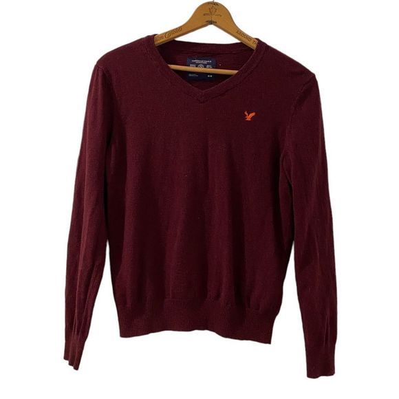 American Eagle Outfitters Other - (Sold) 𝅺American eagle Mens V-Neck sweater, Burgundy, Size Medium